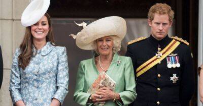 prince Harry - Elizabeth II - Prince Harry - Windsor Castle - Meghan - Charles - queen consort Camilla - Camilla 'spat out tea' when Harry 'suggested mediator' at meeting with Charles - ok.co.uk - Britain - Hague