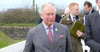 queen Elizabeth - Charles - Grant Harrold - queen consort Camilla - King Charles' former butler thinks he'll be 'good' monarch - msn.com