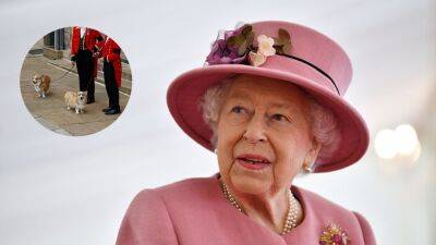 prince Andrew - Elizabeth Ii Queenelizabeth (Ii) - Queen Elizabeth Ii - Queen Elizabeth II's Corgis Are Aware of Her Death, Trainer Dr. Roger Mugford Says (Exclusive) - etonline.com - city Sandy