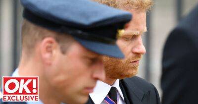 prince Harry - princess Diana - Prince Harry - Elizabeth Ii Queenelizabeth (Ii) - Meghan - Charles - prince William - Duncan Larcombe - Royal expert says 'it's too early' to know if Queen's funeral healed William and Harry rift - ok.co.uk - Britain - Boston