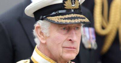 prince Harry - Meghan Markle - Charles - Royal Family - Charles Iii III (Iii) - Charles Iii - King Charles Iii - King Charles 'has not decided' whether to let Harry's children use royal titles yet - ok.co.uk
