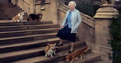 Queen's beloved corgis were 'with her in the room' when she died at Balmoral - www.ok.co.uk - city Sandy