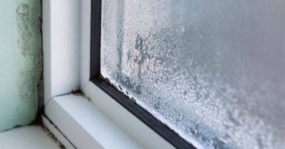 Mrs Hinch fans share £1 trick to tackling condensation from windows this winter - www.manchestereveningnews.co.uk