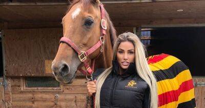 Katie Price - Katie Price shows off painful injuries after falling off horse twice - ok.co.uk