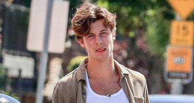 Shawn Mendes Chews on Toothpick During Afternoon Stroll in WeHo - www.justjared.com