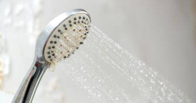 Tiktok - Woman tries viral 17p hack for cleaning shower head with 'gross' results - dailyrecord.co.uk