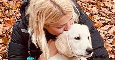Holly Willoughby compares her gorgeous dog to Chewbacca in sweet morning post after rare family insight - www.manchestereveningnews.co.uk - Hague