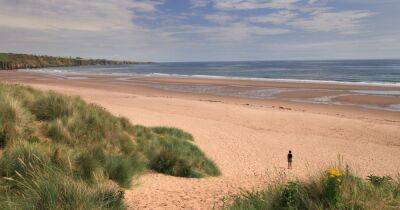 The hidden gem Scottish beach named as one of the best to walk your dogs in the UK - dailyrecord.co.uk - Britain - Scotland - county Bay