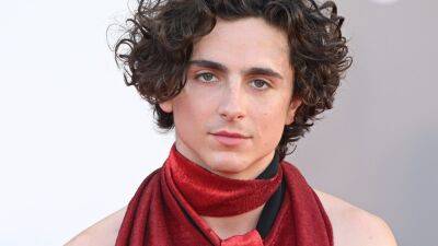 Timothée Chalamet Wore an Open-Back Jumpsuit to the Premiere of His Cannibal Romance Movie - www.glamour.com