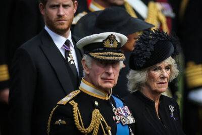 prince Harry - princess Diana - Prince Harry - Angela Levin - Royal Family - Charles Iii III (Iii) - King Charles Iii - Prince Harry has said ‘nasty things’ about Camilla, royal biographer claims - nypost.com - Britain