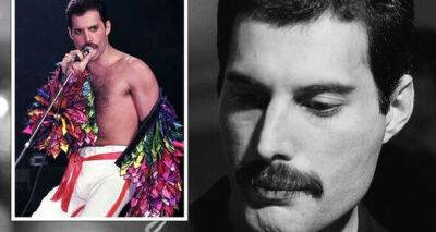 Freddie Mercury - Mary Austin - Freddie Mercury's staggering fortune revealed - and who STILL receives his royalties - msn.com