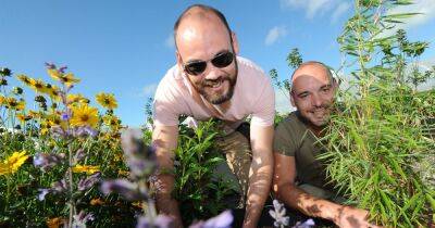 Foodbank sets up market garden - dailyrecord.co.uk