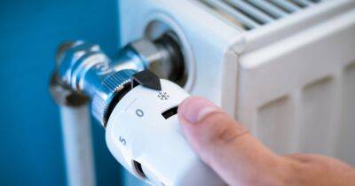 The £15 B&Q device that plumber says can cut 'thousands' off your heating bill - www.dailyrecord.co.uk - Manchester