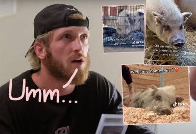 Logan Paul's Pet Pig Pearl Found Abandoned In A Field & Near Death -- And He Responds! - perezhilton.com - California