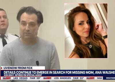 Missing Ana Walshe Told Cops Husband Brian Threatened To Kill Her ‘And Her Friend’ - perezhilton.com - state Massachusets - Washington, area District Of Columbia - Columbia - Boston
