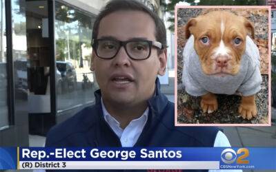 George Santos Allegedly Created FAKE Animal Charity & Stole Service Dog's Surgery Money! - perezhilton.com - New York - USA - Russia - George - city Santos, county George