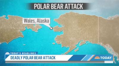 24-Year-Old Mother & 1-Year-Old Son Mauled To Death In Rare Alaska Polar Bear Attack - perezhilton.com - USA - state Alaska