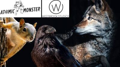 Atomic Monster & Westbrook Studios Team On Urban Nature Docuseries ‘Concrete Jungle’ - deadline.com