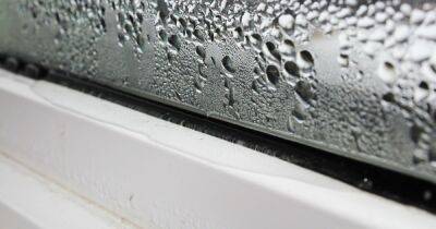 Mrs Hinch fan shares 65p cleaning hack that 'completely cures' condensation from windows - www.dailyrecord.co.uk - Beyond