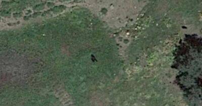 'Bigfoot sighting on Google Earth' as enormous 7.5ft ape-like beast seen in wild - www.dailyrecord.co.uk - Colorado - county Montrose