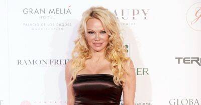 Everything Pamela Anderson Has Said About ‘Pam & Tommy’: ‘I Refuse to Watch It’ - www.usmagazine.com - USA - Canada - county Story - county Porter - city Anderson