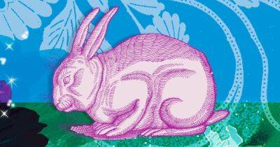What Chinese Year of the Rabbit 2023 could bring for you depending on your zodiac - www.dailyrecord.co.uk - China - Beyond