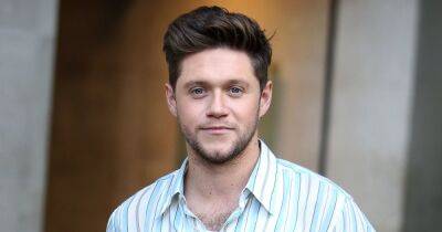Watch Niall Horan Drop His Skincare Hacks in Hilarious Tutorial: ‘You Either Want Good Skin or You Don’t’ - www.usmagazine.com - Britain - Ireland