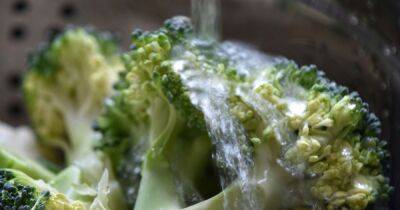 People just realising the 'correct' way to wash broccoli after doing it wrong - www.dailyrecord.co.uk - Beyond