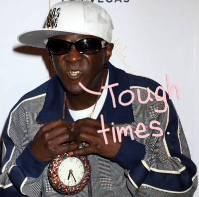 Flavor Flav Used To Spend HOW MUCH Every Day On Drugs?! - perezhilton.com
