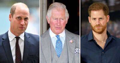 Prince William and Prince Harry Urged King Charles III Not to Marry Queen Consort Camilla After Princess Diana’s Death: Details - www.usmagazine.com