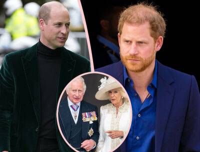 Prince Harry Admits He & Prince William Begged Charles Not To Marry Camilla! - perezhilton.com - county Charles