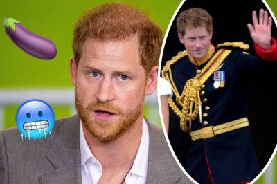 Twitter Ridicules Prince Harry After Reveal He Had A Frostbitten Penis During William & Kate's Royal Wedding! - perezhilton.com - Afghanistan