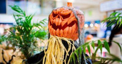 Things to do with the kids in and around Manchester this October half term and Halloween 2023 - www.manchestereveningnews.co.uk - Manchester