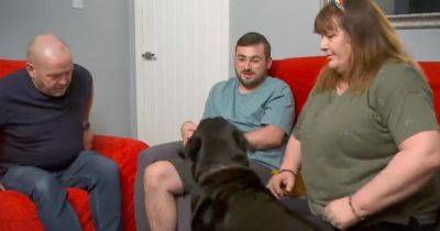 Gogglebox viewers emotional over 'lovely' tribute to Malone family's dog Dave - www.ok.co.uk - Manchester