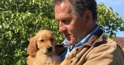Monty Don heartbroken as beloved dog dies just three years after losing Golden Retriever - www.dailyrecord.co.uk