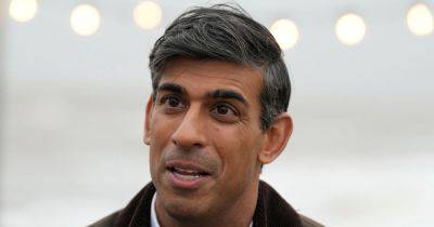 Rishi Sunak submits plans for fence around his home following protest - www.dailyrecord.co.uk - Scotland - California - Beyond