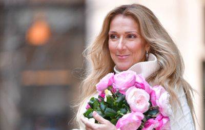 New Zealand town petitions to stop Celine Dion “sound battles” - www.nme.com - New Zealand