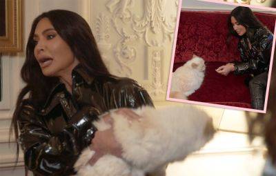 Watch Kim Kardashian Get ATTACKED By Karl Lagerfeld's Cat Choupette! - perezhilton.com