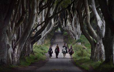 Trees made famous by ‘Game of Thrones’ may be chopped down - www.nme.com - Ireland