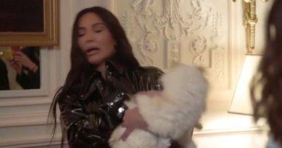 Kim Kardashian attacked by Karl Lagerfeld's designer cat Choupette - www.ok.co.uk - Germany