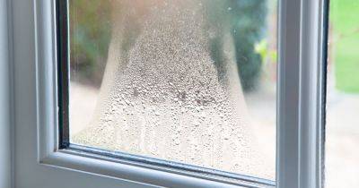 Six 'simple' hacks to get rid of condensation or risk mould-infested home - www.dailyrecord.co.uk - Scotland