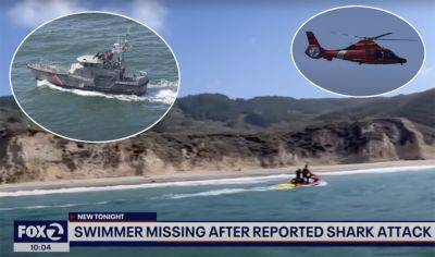 California Swimmer Vanishes Without A Trace At Famous Beach -- Feared To Be A Shark Attack Victim - perezhilton.com - Australia - USA - California - county Marin