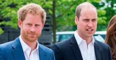 Prince William ‘doesn't understand’ why Harry wants an apology from royal family - www.dailyrecord.co.uk - USA