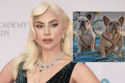 Case Closed! Lady GaGa Does NOT Have To Pay $500K Reward To Dognapping Accomplice! - perezhilton.com - France