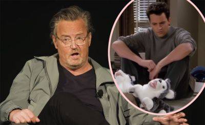 'When I Die': Matthew Perry Voiced His Wish For How He'd Like To Be Remembered Instead Of For Friends - perezhilton.com