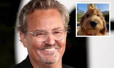What will happen to Matthew Perry’s beloved dog Alfred? - us.hola.com - county Rush