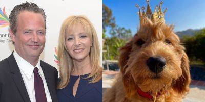 Lisa Kudrow Isn't Adopting Matthew Perry's Dog: Rumor Explained By Source - www.justjared.com