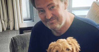 Fate of Matthew Perry's beloved dog revealed after Friends star's tragic death - www.dailyrecord.co.uk - USA