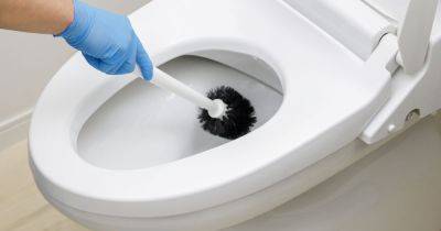 Plumber issues warning on popular cleaning product that 'destroys' your toilet - www.dailyrecord.co.uk - Beyond