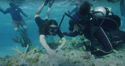 Princess Kate and William share unseen footage from 'fascinating' scuba diving trip - www.ok.co.uk - Bahamas
